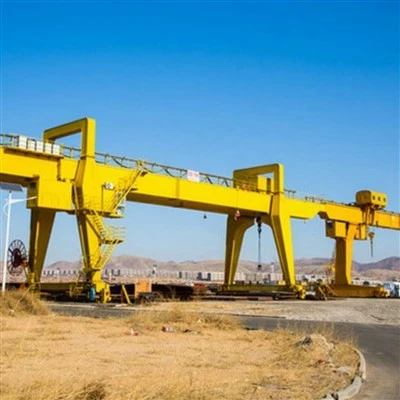 Grua pòrtic de doble viga 100 tones