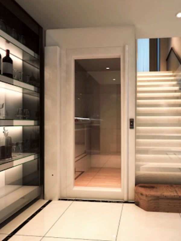 Vertical Small Home Elevator(2)