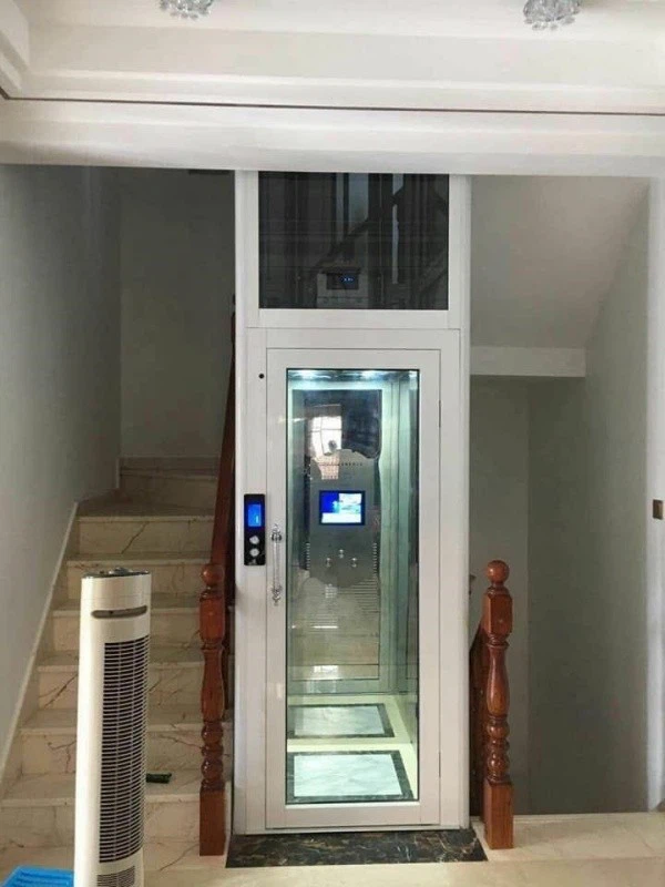 Vertical Small Home Elevator(4)